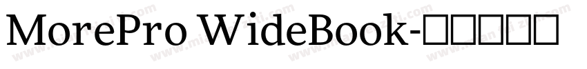 MorePro WideBook字体转换